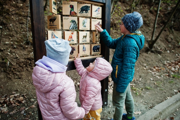 Kinderen leren vogels in houten bureau in dierentuin