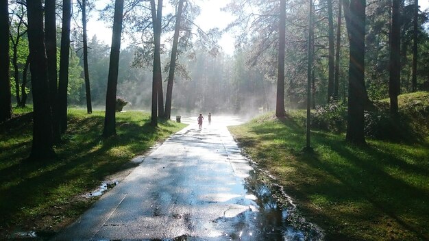 Foto kinderen lopen op een natte weg tussen bomen tijdens een zonnige dag