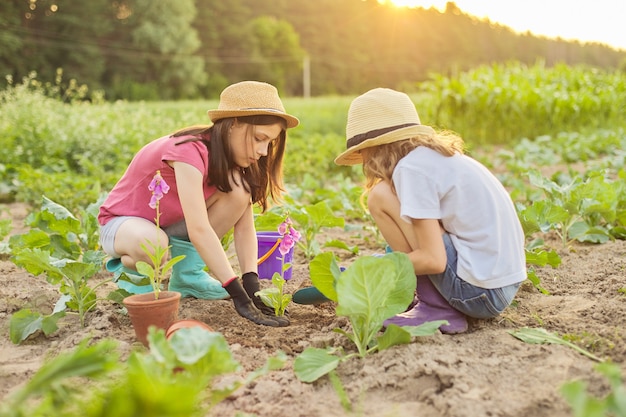 Kinderen meisjes bloeiende potplant in de grond planten