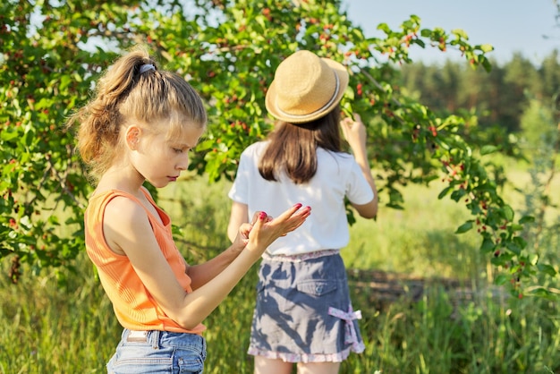 Kinderen meisjes eten heerlijke gezonde moerbeien uit de boom, zomertuin oogst van rijpe bessen, seizoen van vitamine biologische natuurlijke bessen en fruit