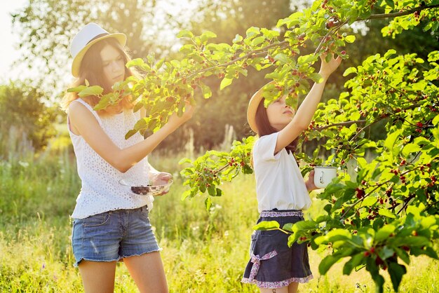 Kinderen meisjes eten heerlijke gezonde moerbeien uit de boom zomertuin oogst van rijpe bessen seizoen van vitamine biologische natuurlijke bessen en fruit