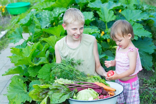 Kinderen met de oogst van groenten in de tuin