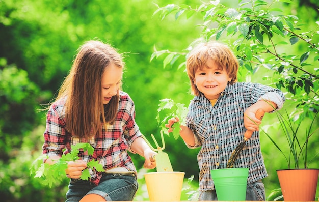 Kinderen planten bloemen in pot gelukkige kinderen op zomerveld kinderen en groenten op de boerderij schattig verlicht