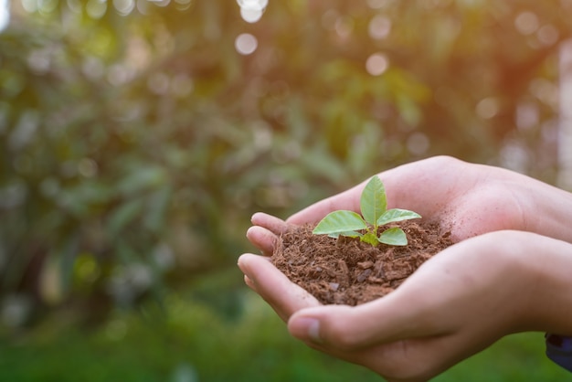 Kinderen planten bomen om de frisse lucht naar de wereld te helpen vergroten