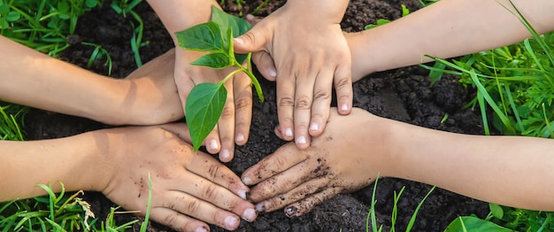 Kinderen planten planten in de tuin.