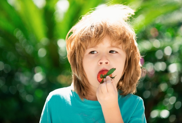 Kinderen plukken verse biologische aardbeien gelukkig jongetje eet aardbeien