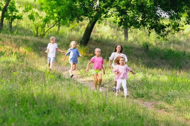 Kinderen rennen op de weide in de zomer