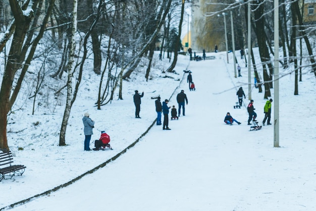 Kinderen rijden op slee in de winterdag in het stadspark