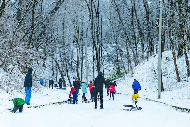 Kinderen rijden op slee in de winterdag in het stadspark