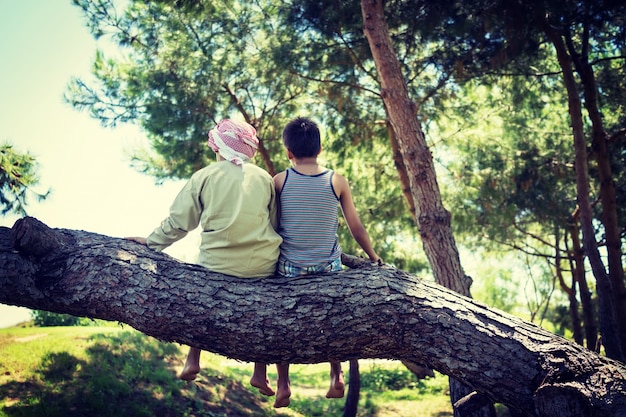 Kinderen samen zitten op boom