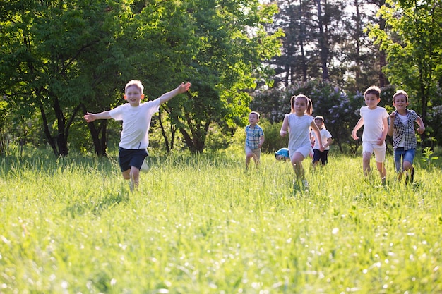 Kinderen spelen buiten, rennen en hebben plezier op een grasveld