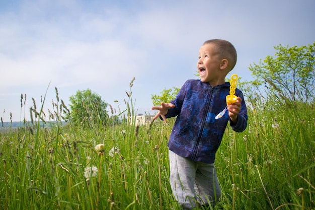 Kinderen spelen in het gras