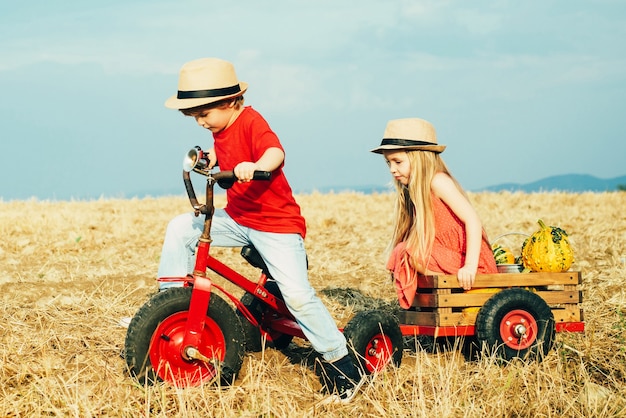 Kinderen spelen op een veld