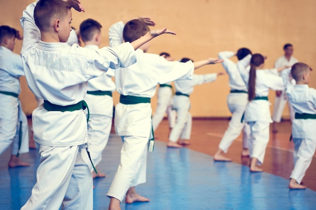 Kinderen trainen op karatedo Jonge atleten in traditioneel witte kimono's met gekleurde riemen Banner met ruimte voor tekst Retro-stijl Voor webpagina's of reclamedruk Foto zonder gezichten