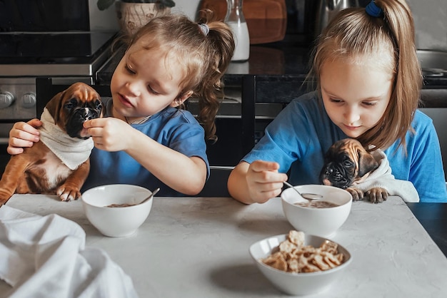 kinderen voeden kleine puppy's hun ontbijt met ontbijtgranen en melk