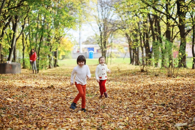 Kinderen voor een wandeling in het herfstpark Bladval in het park Familie herfstgeluk