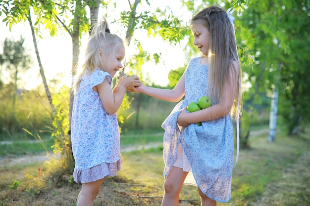 Kinderen wandelen in de zomer in de natuur Kind op een zonnige lenteochtend in het park Reizen met kinderen