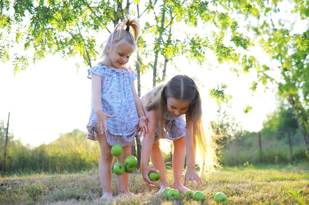 Kinderen wandelen in de zomer in de natuur Kind op een zonnige lenteochtend in het park Reizen met kinderen