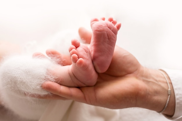 Kindervoeten in de handen van moeder en vader. Moeder, vader en kind. Gelukkig familie mensen concept. Hoge kwaliteit foto