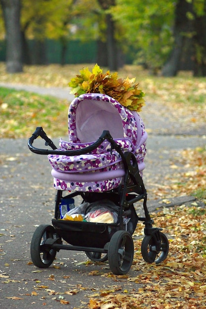Kinderwagen staat in het park en sliert gele herfstbladeren erop