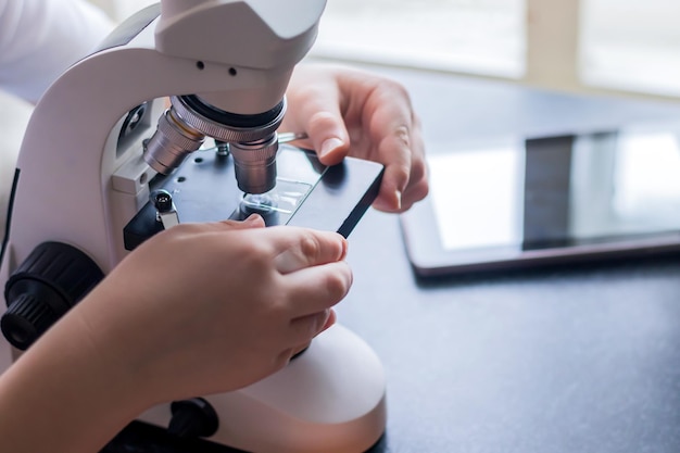 Kindhanden installeren glas met laboratoriummaterialen in Microscoop voor onderzoek. Wetenschappelijk onderwijs