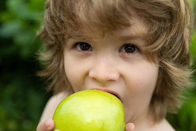 Kindjongen die een appel eet in een park in de natuur