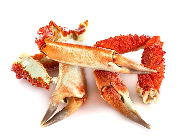 king crab leg in front of white background