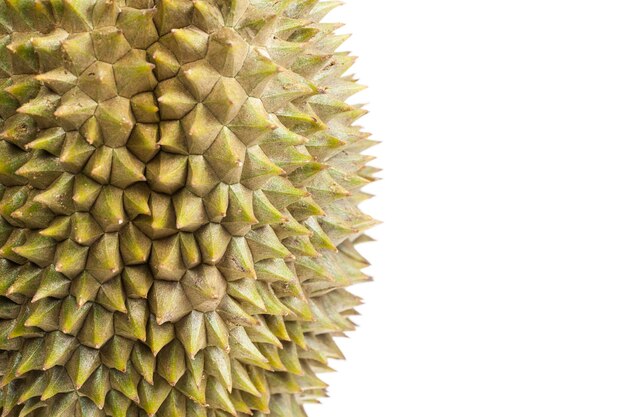 Photo king of fruits, durian fruit on white background.