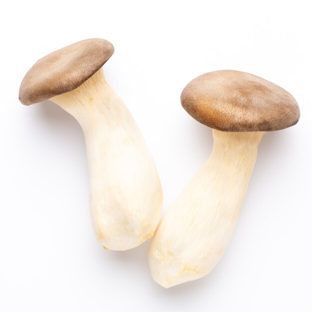 King oyster mushroom. Eryngii mushroom, on white background.