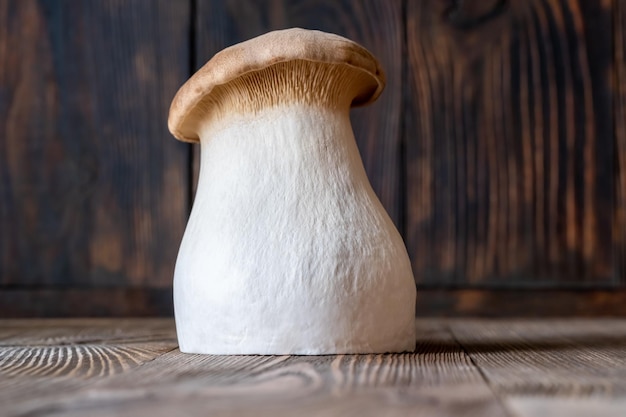 King oyster mushroom