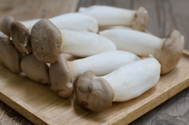 King oyster mushroom