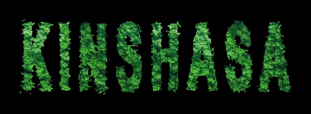 Photo kinshasa lettering kinshasa forest ecology concept