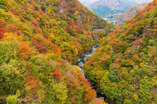 秋の鬼怒川