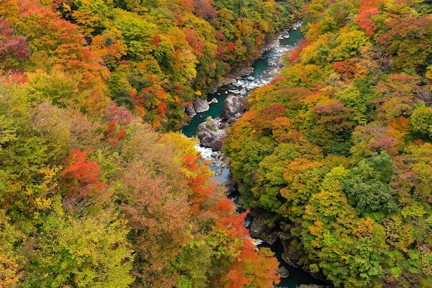 Kinugawa in de herfstseizoen