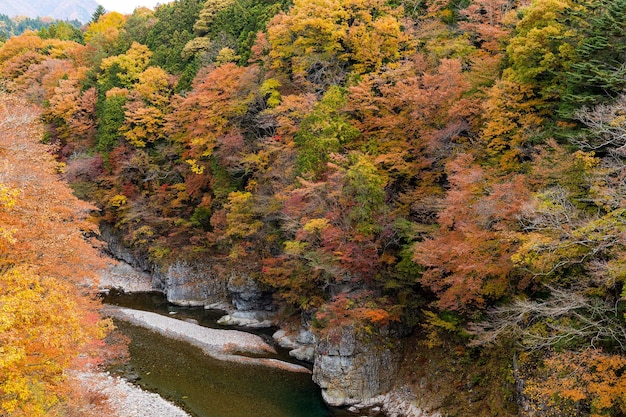 Kinugawa in Japan