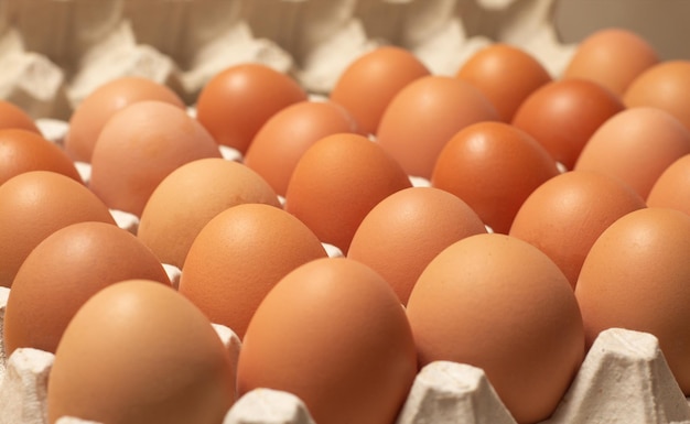 Kip bruin verse rauwe eieren in een kartonnen container. Ingrediënten voor het koken. Concept voor gezond eten