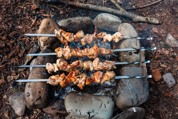 Kip shish kebab op de brandstapel