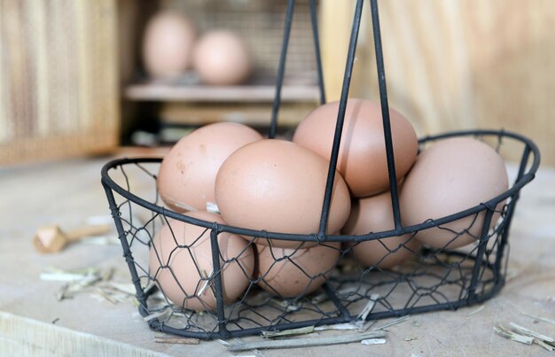 kippen eieren verzameld in een kleine metalen mand voor een open eieren doos