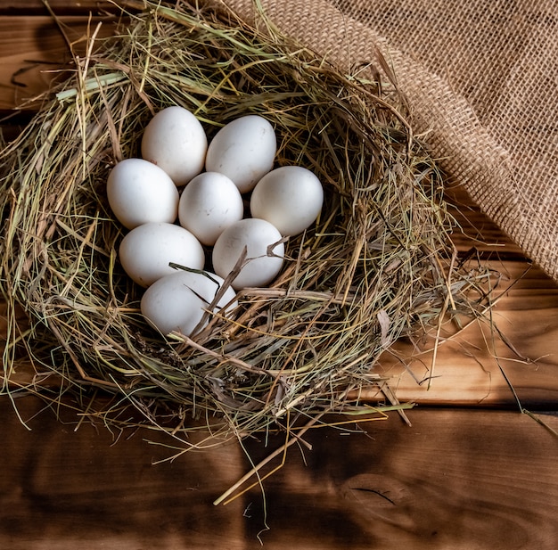 kippenei in het nest