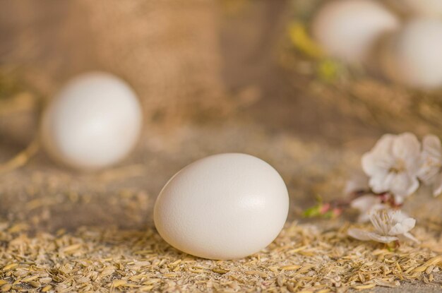 Kippeneieren in het stronest naast drie kippeneieren over een houten paneelachtergrond