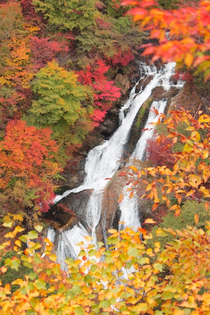 Kirifuriwatervallen en de Herfst mooi in Nikko Japan.