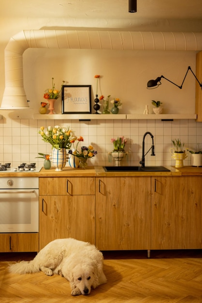 Kitche interior with a dog