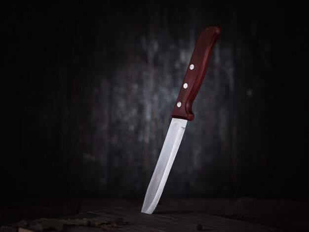 Kitchen knife in a cutting board