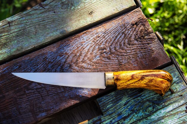 Kitchen knife with a wooden handle