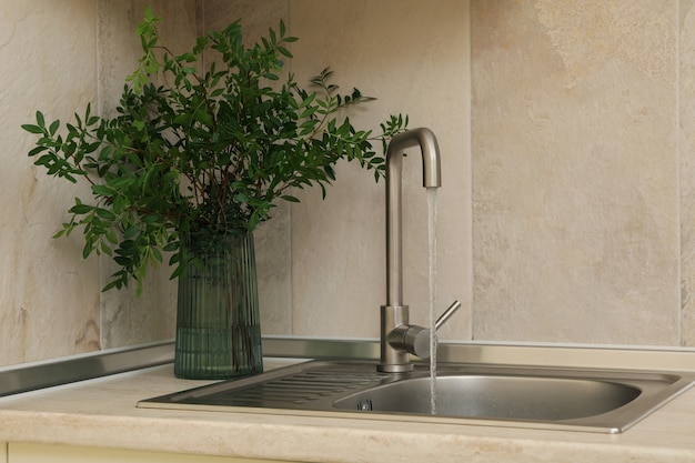 Kitchen sink with faucet and vase with plant