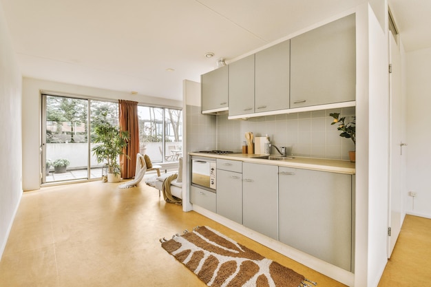 A kitchen with gray cabinets and a rug