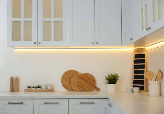 Kitchenware and houseplant on countertop in modern kitchen