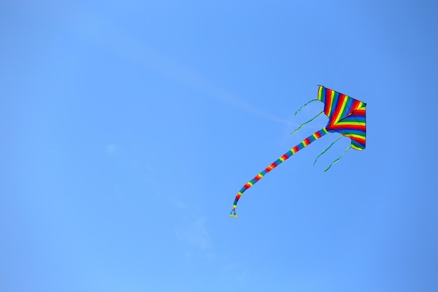Kite at the blue sky