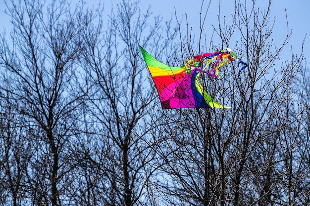 A kite entangled in the branches of a tree