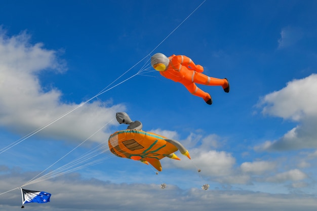 Festa degli aquiloni. aquiloni nel cielo nell'oceano atlantico